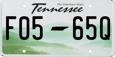 TN license plate F0565Q