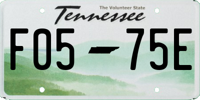 TN license plate F0575E