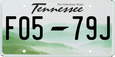 TN license plate F0579J