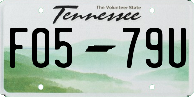 TN license plate F0579U