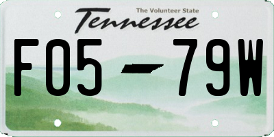 TN license plate F0579W