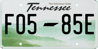 TN license plate F0585E