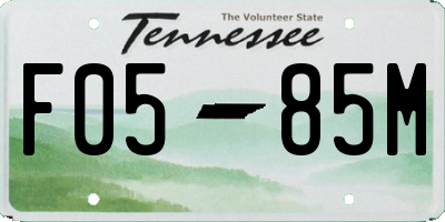 TN license plate F0585M