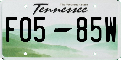 TN license plate F0585W