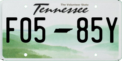 TN license plate F0585Y