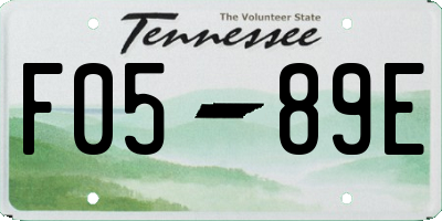 TN license plate F0589E
