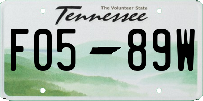 TN license plate F0589W