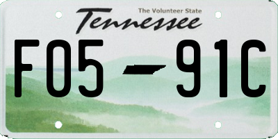 TN license plate F0591C
