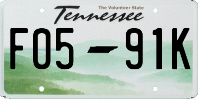 TN license plate F0591K