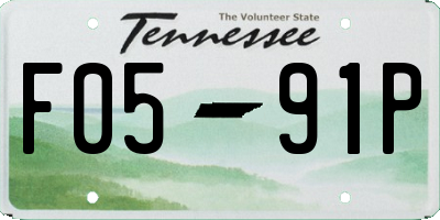 TN license plate F0591P