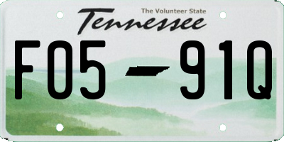 TN license plate F0591Q