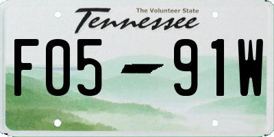TN license plate F0591W