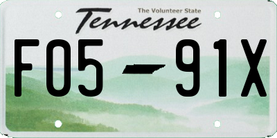 TN license plate F0591X