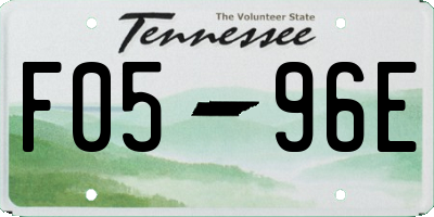 TN license plate F0596E
