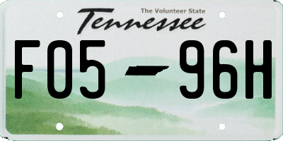 TN license plate F0596H