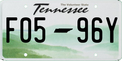 TN license plate F0596Y