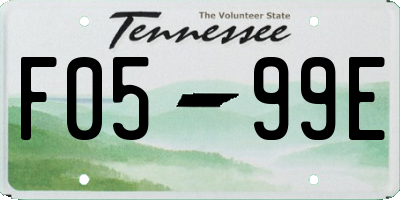 TN license plate F0599E