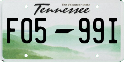 TN license plate F0599I