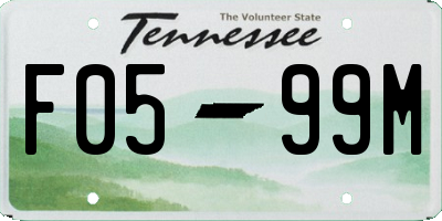 TN license plate F0599M