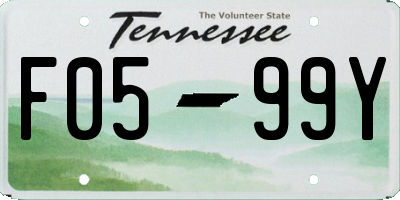 TN license plate F0599Y