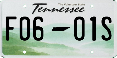 TN license plate F0601S