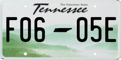 TN license plate F0605E