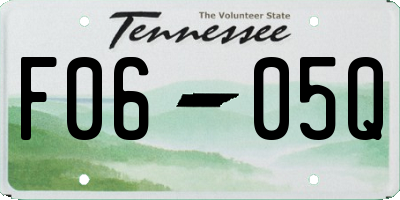 TN license plate F0605Q