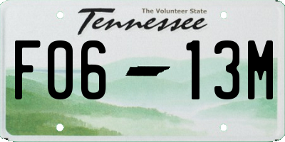 TN license plate F0613M