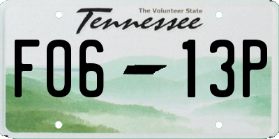 TN license plate F0613P