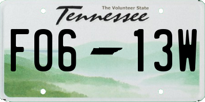 TN license plate F0613W