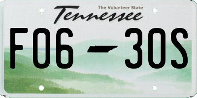 TN license plate F0630S