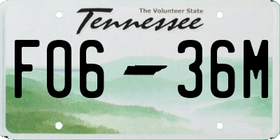 TN license plate F0636M