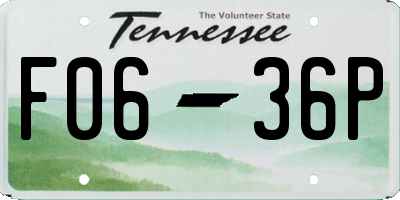 TN license plate F0636P