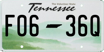 TN license plate F0636Q