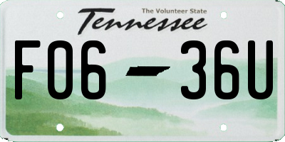 TN license plate F0636U