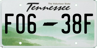 TN license plate F0638F