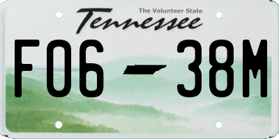 TN license plate F0638M