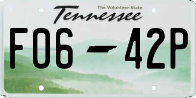 TN license plate F0642P
