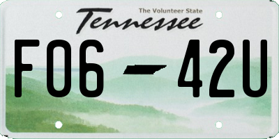 TN license plate F0642U