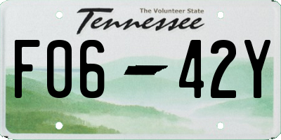 TN license plate F0642Y