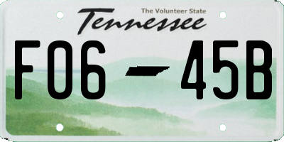 TN license plate F0645B