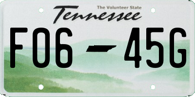 TN license plate F0645G