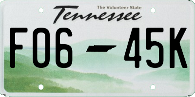 TN license plate F0645K