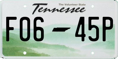 TN license plate F0645P