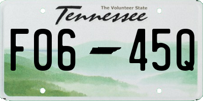 TN license plate F0645Q