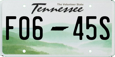 TN license plate F0645S