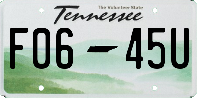 TN license plate F0645U
