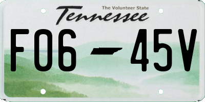 TN license plate F0645V