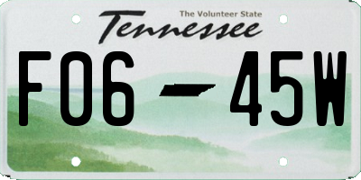 TN license plate F0645W