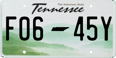 TN license plate F0645Y
